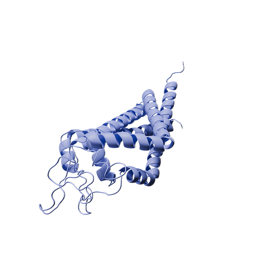 Human CD82 (N-Fc, HEK293)